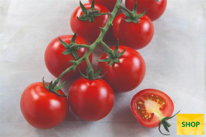 Tomate-cherry-'Manolo®-Red'_Volmary.png Tomate-cherry-'Manolo®-Red'_Volmary.png