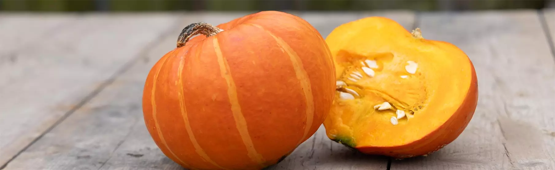 Cucurbita-Dynie_Volmary.jpg