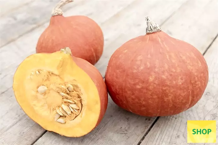 Hokkaido-Calabaza_Volmary.png Hokkaido-Calabaza_Volmary.png
