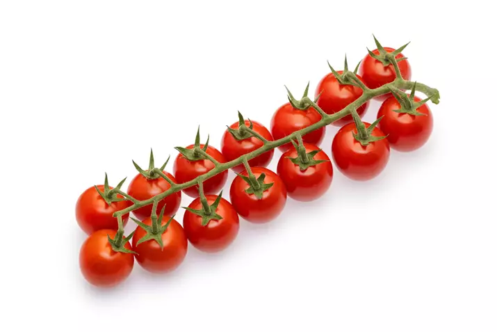 Pomidor-winorośli-z-podkładką-wiśniową-Amelita.png