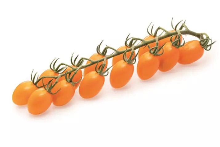 Tomates-en-racimo-injertados-en-cerezo-Leonisher.jpeg