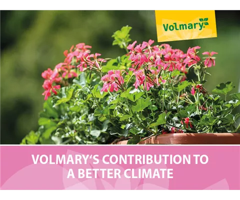 Volmary's contribution to a better climate Volmary's contribution to a better climate