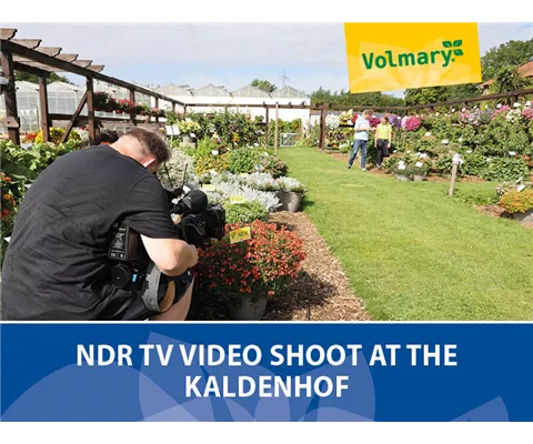 NDR video shoot at the Kaldenhof NDR video shoot at the Kaldenhof