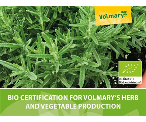 BIO certification for Volmary's herb and vegetable production BIO certification for Volmary's herb and vegetable production